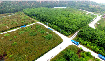 杭州常林-綠色礦山建設(shè)，為何鐘情山推挖掘機(jī)—湖州美卓礦業(yè)